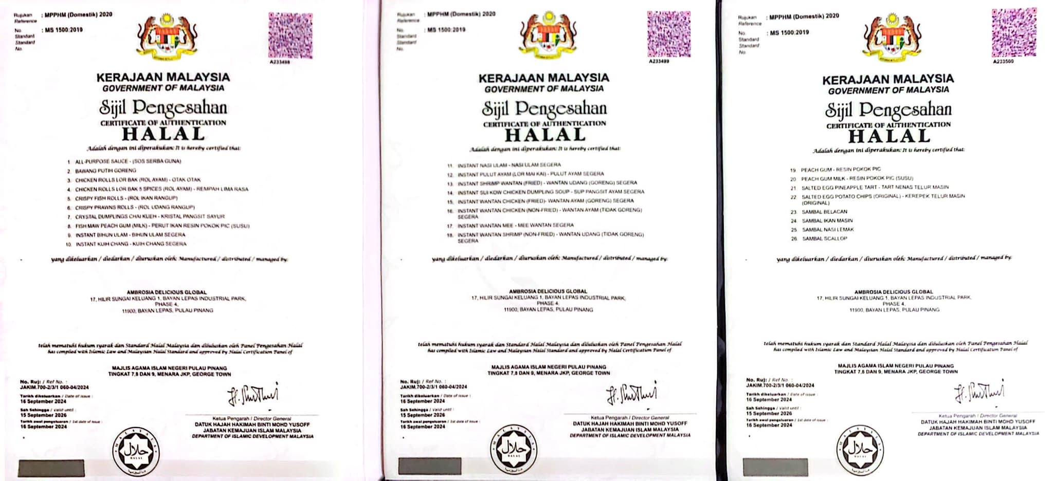 493214369_1230451099085711_5688527629476476731_n